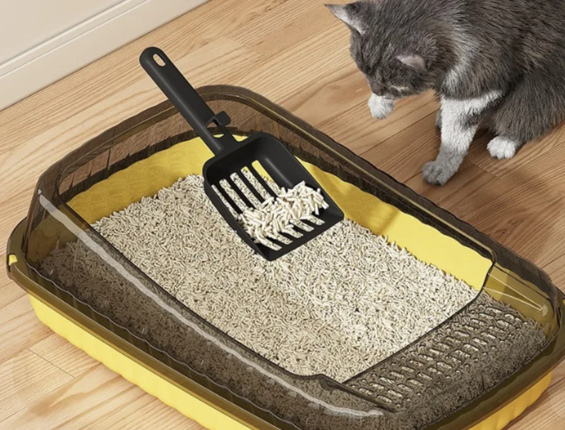 Bolehkah Kotak Sampah Kucing GRS PP Menyelesaikan Kekecewaan Terbesar Pemilik Kucing?